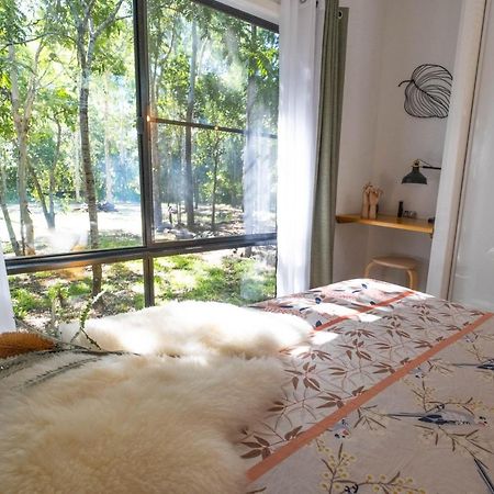 Airlie Beach Eco Cabins - Adults Only ภายนอก รูปภาพ