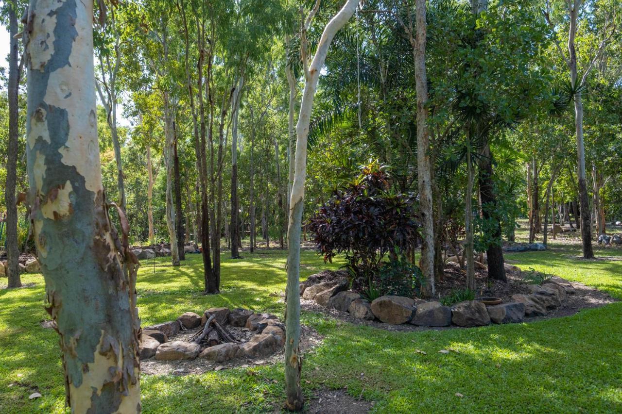 Airlie Beach Eco Cabins - Adults Only ภายนอก รูปภาพ